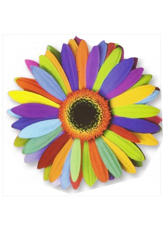 πολλά χρώματα