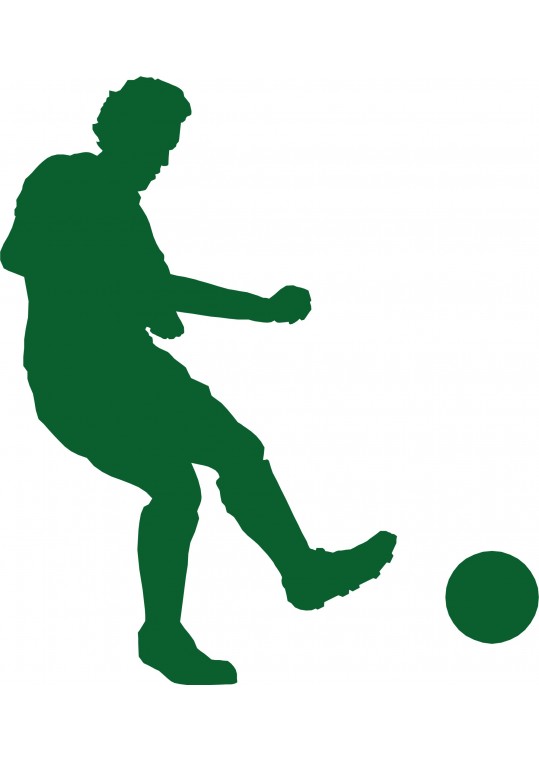 αυτοκόλλητο τοίχου επιθετικος