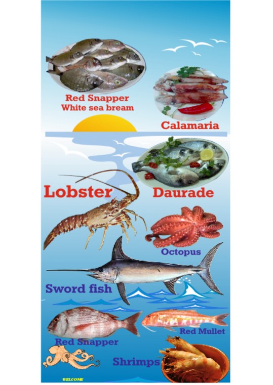  Ιδανική για ψαροταβέρνα - fish tavern