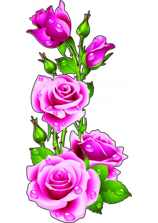 διακοσμητικό αυτοκόλλητο τριαντάφυλλα