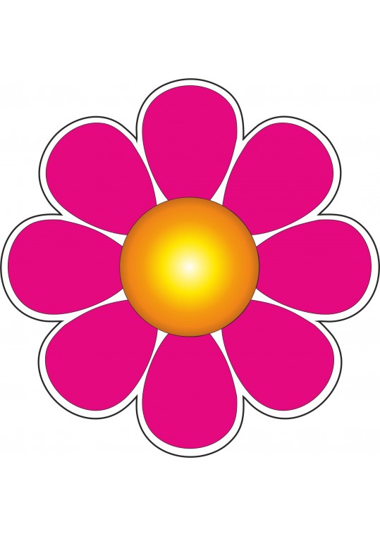 Λουλούδι φούξια