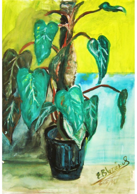 plant Αντίγραφο τυπωμένο σε καμβά